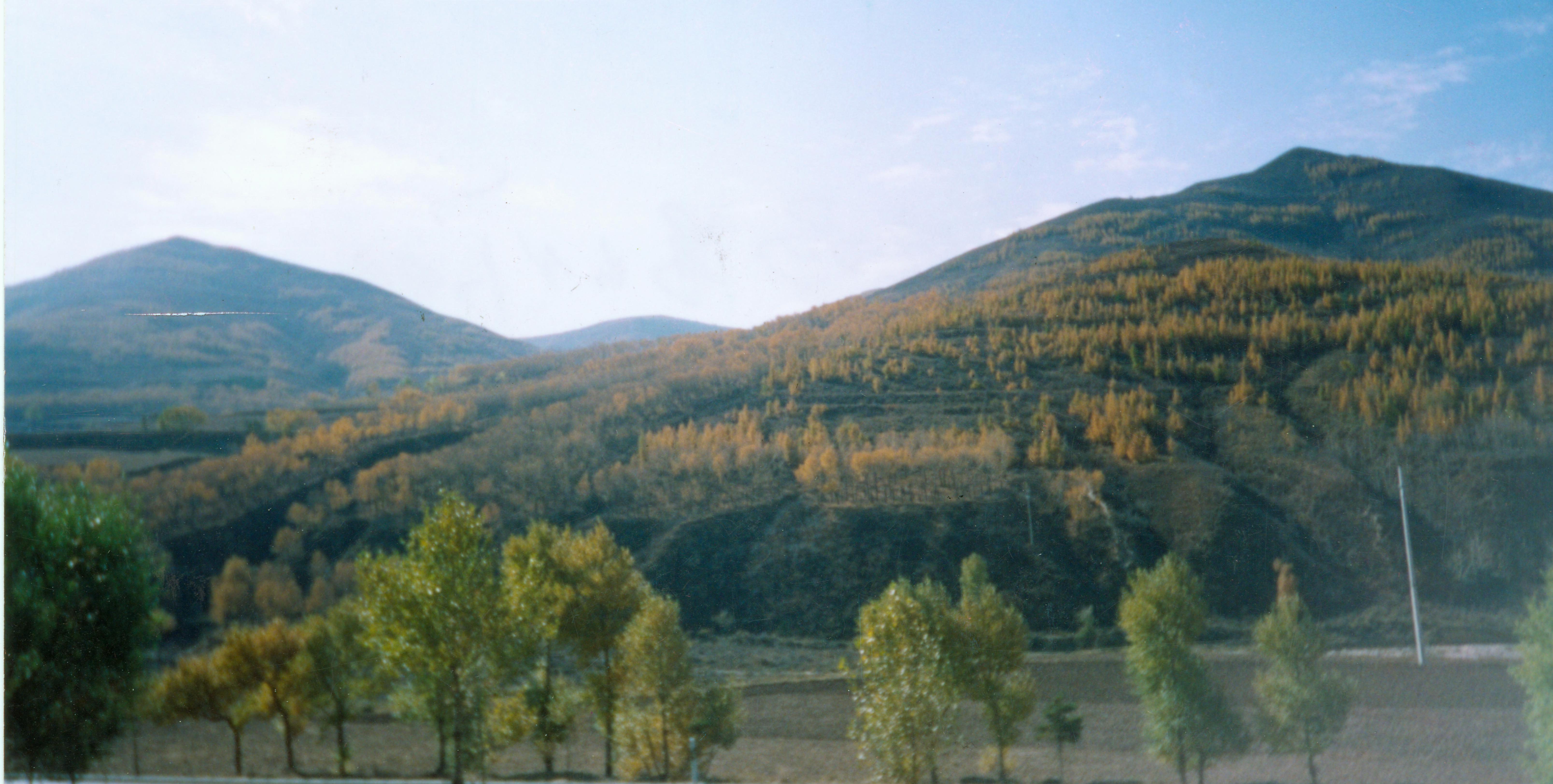 ����ͼƬ��