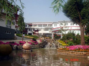 ���ӵ������Ƶ�