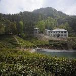 ��ɽ�ֳ���ò